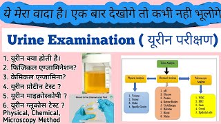 Urine Examination Analysis  Physical  Chemical  Microscopy Examination of Urine  Protein Test [upl. by Adnerb305]