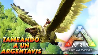 TAMEANDO A UN ARGENTAVIS PARA CONSTRUIR LA NUEVA CASA  EP 4 🦅​🦖​ [upl. by Groscr122]