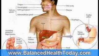 Liver and Gallbladder Flush Directions Part 1 [upl. by Lachish]