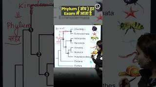 Phylum संघ याद करने की Trick 😍  SSC CHSL Questions ShortsFeed Phylum SSC PW [upl. by Varden]