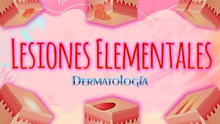 Lesiones Elementales de la Piel  Clase Dermatología  DraMartel [upl. by Cirdec117]