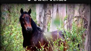 The Man from Snowy River and Other Verses by Andrew Barton PATERSON  Full Audio Book [upl. by Varney669]