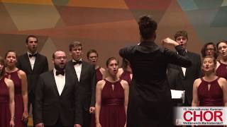 Collegium Musicum Berlin Sfogava con le stelle INTERN KAMMERCHORWETTBEWERB MARKTOBERDORF 2017 [upl. by Blandina]