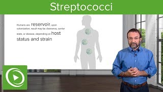 Streptococci – Microbiology  Lecturio [upl. by Pandich]