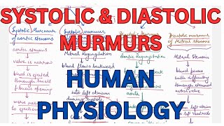 SYSTOLIC amp DIASTOLIC MURMURS ABNORMAL HEART SOUNDS CVS [upl. by Marco60]