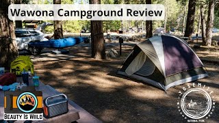 Wawona Campground Review  Yosemite National Park [upl. by Olsson]