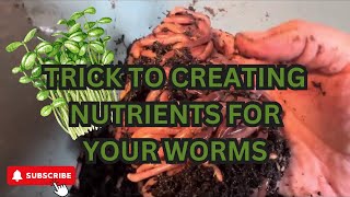 Composting Worm Nutrition Is Important ￼worms vermicompost compost [upl. by Gelhar]