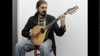 Irish Bouzouki made by Lewis Santer played by Dave Cory [upl. by Daphie]