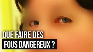 Que faire des fous dangereux [upl. by Nich]