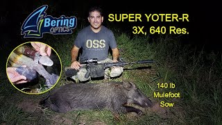 Super YoterR Bens 1st Mulefoot Plus 11 More Hogs [upl. by Leontina488]