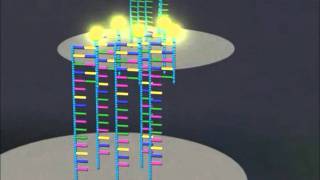 DNA microarrays [upl. by Candy151]