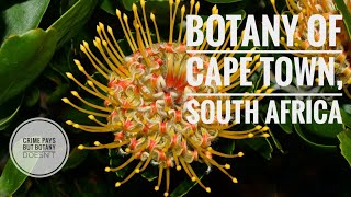 Kirstenbosch Botanic Garden South Africa Series  Episode 1 [upl. by Berty]