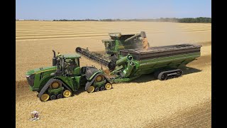 Wheat Harvest at Crossroad Farms in Indiana [upl. by Higbee]