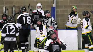 Alliston Hornet vs Napanee Raiders PJHL Playoffs Schmalz Cup Semi Finals Game 2 [upl. by Lewie325]