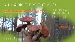 КняжегубскоКумскоИовское кольцо 2023 часть 9 дневка у порога Железные Ворота баня грибы и пирог [upl. by Tessi]