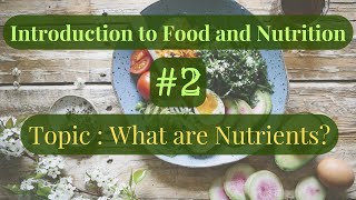 An Introduction to the Basics of Food amp Nutrition  What are Nutrients [upl. by Snebur168]