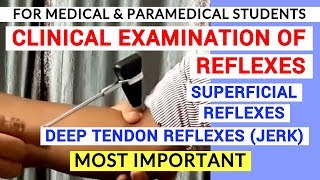 REFLEXES EXAMINATION  CLINICAL LAB  PHYSIOLOGY PRACTICALS [upl. by Silvana]