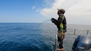 Slow Jigging Jenahak Kerapu Karang Tinggi Slow pitch Jigging Pulau JarakShimano Ocea Jigger VOL 1 [upl. by Akiras]