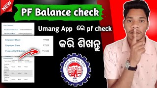 Umang App se PF Kaise Check kare 2024  How to check PF amount in umang App  Umang App se pf balan [upl. by Silda443]