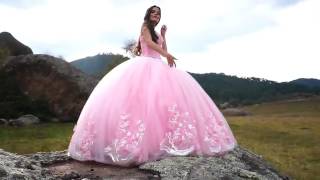 Beaded Strapless Quinceanera Dress by Ragazza Fashion Style B78378 [upl. by Publia]