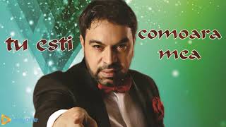 FLORIN SALAM  Tu esti comoara mea  HIT [upl. by Sheffield]