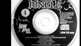 Bay B Kane  Jungle Warriors [upl. by Absa]