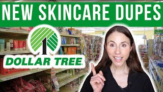 NEW Skincare Dupes At Dollar Tree 2024 [upl. by Meehaf350]