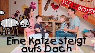 🌺 Eine Katze steigt auf das Dach  Singen Tanzen und Bewegen  Kinderlieder [upl. by Ogg]