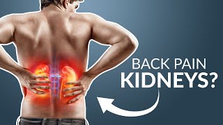 Could your back pain be KIDNEYS [upl. by Akiras]