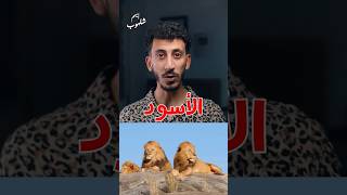 من هو الخنزير البري ؟ ayhamshalhoub أيهمشلهوب الاصلي [upl. by Yve]