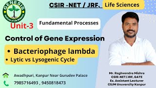 Lytic vs Lysogenic Cycle  Bacteriophage lambda I Control Of Gene Expression L42 [upl. by Lawson]