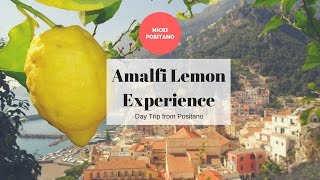 Amalfi Lemon Experience Amalfi Lemon grove tour [upl. by Yenetruoc565]