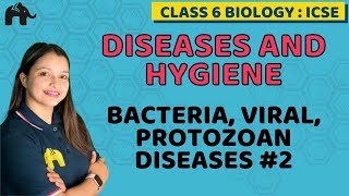 Diseases and Hygiene Class 6 ICSE Biology  Selina Chapter 7 Bacteria Viral Protozoan Diseases 2 [upl. by Llyrpa]