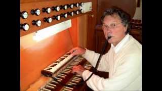 Gossec  Gavotte  Gerard van Reenen melodica amp organ [upl. by Ahsinned920]