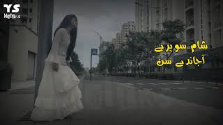 Vigar Gai Ay Thoray Dina Tu  NFAK Sad Lines  Whatsapp Status [upl. by Ynner]