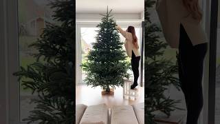 Tannenbaum aufstellen amp schmücken 🎄 mit der ganzen Familie 😍 shorts Mamiseelen [upl. by Yelhs]