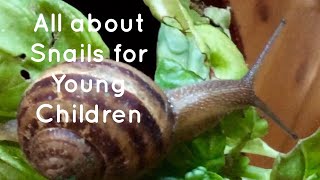 JUMBLES All about Snails for young children [upl. by Haimorej123]