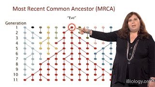 Sarah Tishkoff U Pennsylvania Part 1 African Genomics Human Evolution [upl. by Nitsrik129]