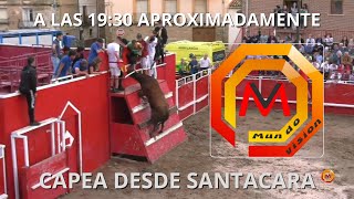 Fiestas Septiembre Santacara 2024  Capea ganadería Los Royos [upl. by Haidabez]