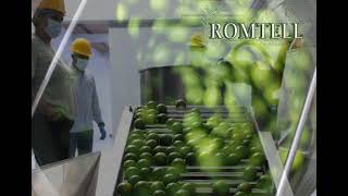 video promocional Romtell [upl. by Annerb]