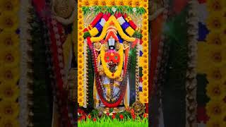 shortsvideo srivenkateswaraswami tirmalatirupathigovinda [upl. by Germayne567]