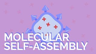 What is molecular selfassembly [upl. by Namref]