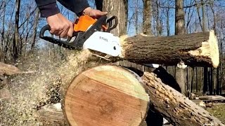 STIHL Chainsaw MS 180 cbe CUTTING [upl. by Elurd]