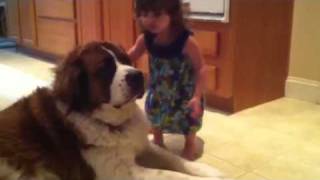 Toddler Hugs St Bernard [upl. by Sumedocin]