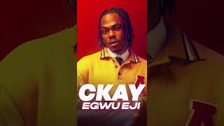 Raw Emotion Ckays Egwu Eji Cover Touches Hearts [upl. by Ecraep]