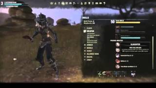 ESO  Khajiit Nightblade Vampire with Dual Wield Dagger Build  Passive Skills  Part 2 [upl. by Tray]