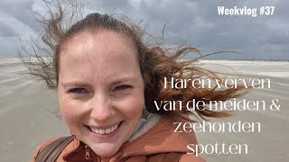 Haren verven van de meiden amp zeehonden spotten Weekvlog 37 [upl. by Sarad]