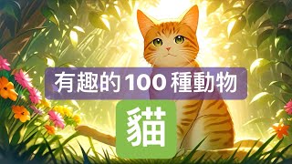 【貓喵說故事】：有趣的100種動物1貓｜兒童睡前故事｜親子故事｜童話故事｜心靈雞湯｜有趣的動物 [upl. by Sicnarf195]