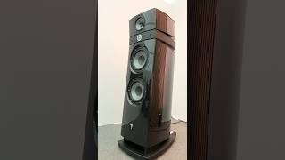 Focal Maestro Utopia Evo and Naim hifi audio setup audio hifi loudspeaker [upl. by Marih51]