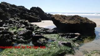 Walk along the beach from Chapel Porth to Porthtowan in Cornwall [upl. by Katherina]